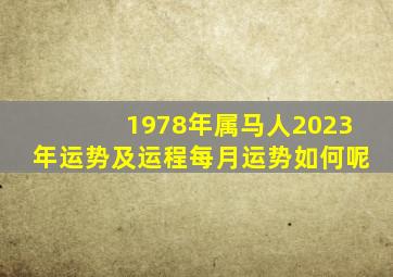 1978年属马人2023年运势及运程每月运势如何呢