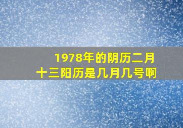 1978年的阴历二月十三阳历是几月几号啊