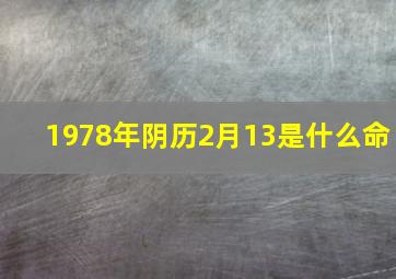 1978年阴历2月13是什么命