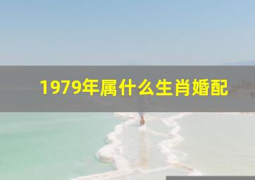 1979年属什么生肖婚配