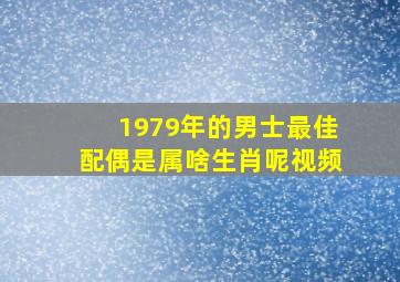 1979年的男士最佳配偶是属啥生肖呢视频