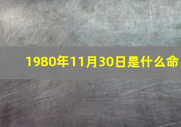 1980年11月30日是什么命