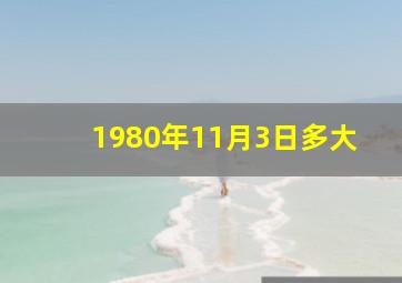 1980年11月3日多大