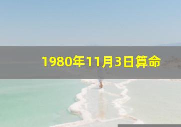 1980年11月3日算命