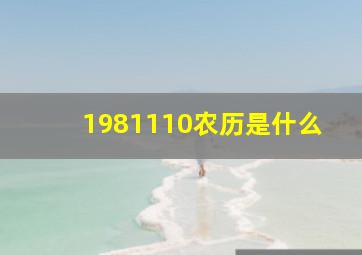 1981110农历是什么