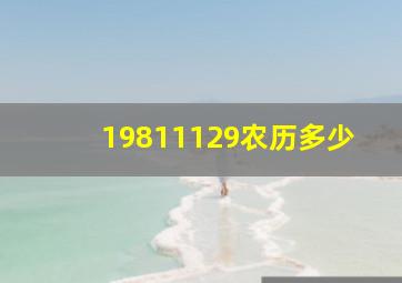 19811129农历多少