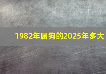 1982年属狗的2025年多大