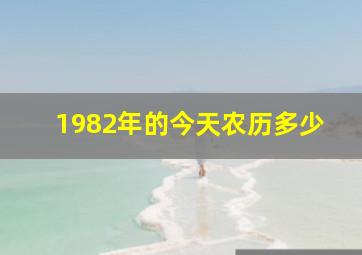 1982年的今天农历多少