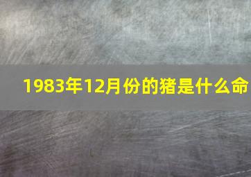 1983年12月份的猪是什么命