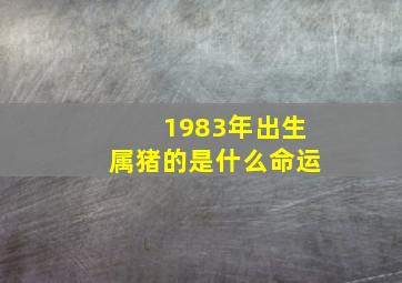 1983年出生属猪的是什么命运