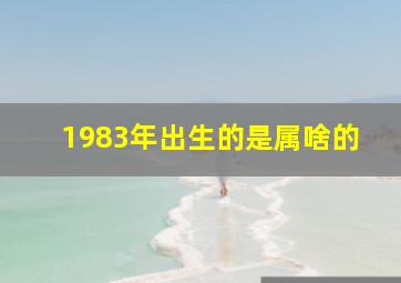 1983年出生的是属啥的