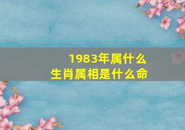 1983年属什么生肖属相是什么命