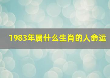 1983年属什么生肖的人命运