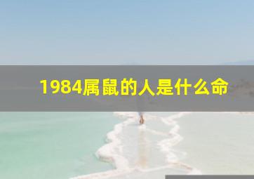 1984属鼠的人是什么命