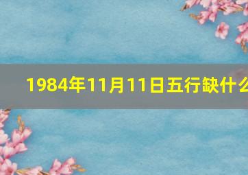 1984年11月11日五行缺什么