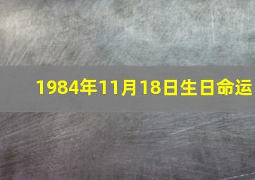 1984年11月18日生日命运