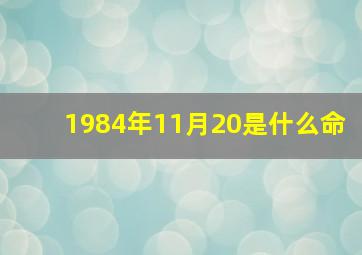 1984年11月20是什么命