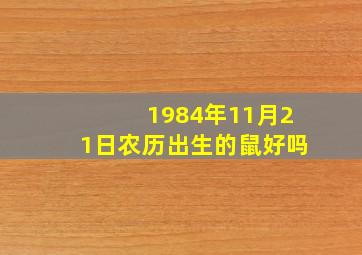 1984年11月21日农历出生的鼠好吗