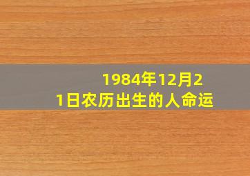 1984年12月21日农历出生的人命运