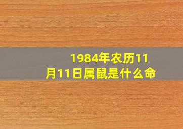 1984年农历11月11日属鼠是什么命