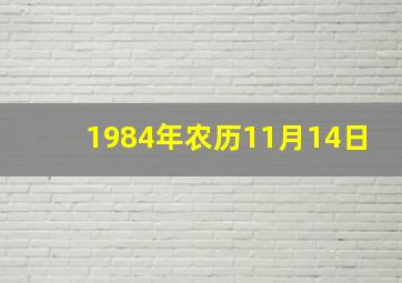 1984年农历11月14日