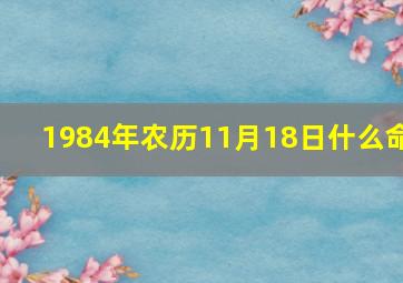 1984年农历11月18日什么命