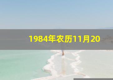 1984年农历11月20