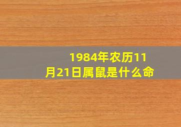 1984年农历11月21日属鼠是什么命