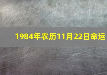 1984年农历11月22日命运