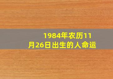 1984年农历11月26日出生的人命运