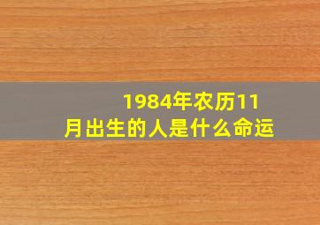 1984年农历11月出生的人是什么命运