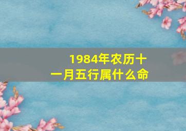 1984年农历十一月五行属什么命