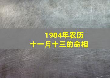 1984年农历十一月十三的命相