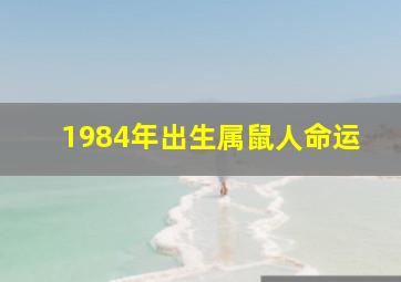 1984年出生属鼠人命运