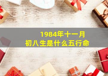 1984年十一月初八生是什么五行命