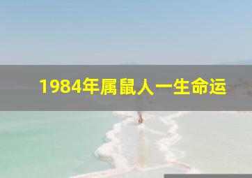 1984年属鼠人一生命运