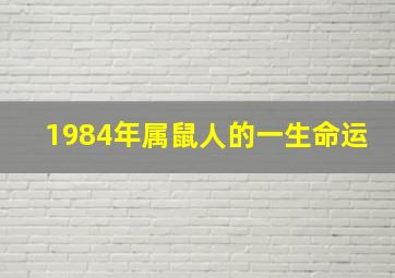 1984年属鼠人的一生命运