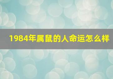 1984年属鼠的人命运怎么样