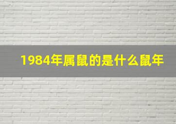 1984年属鼠的是什么鼠年