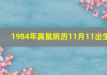 1984年属鼠阴历11月11出生