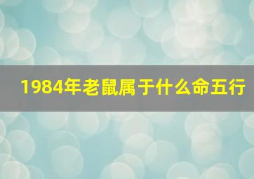 1984年老鼠属于什么命五行