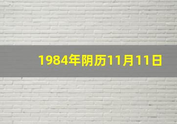 1984年阴历11月11日