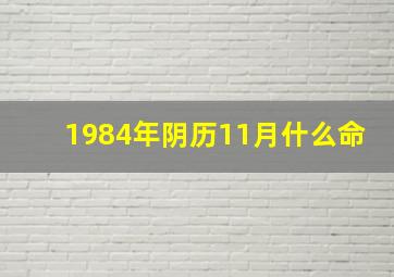 1984年阴历11月什么命