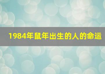 1984年鼠年出生的人的命运