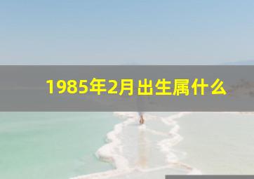 1985年2月出生属什么