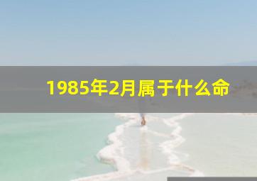 1985年2月属于什么命