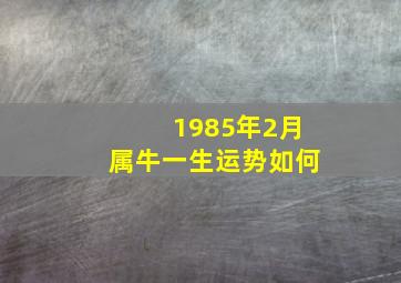 1985年2月属牛一生运势如何