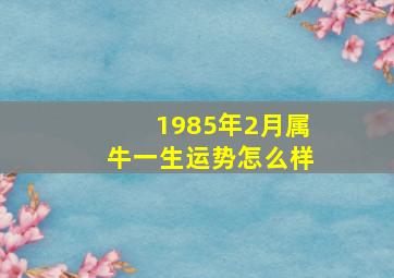 1985年2月属牛一生运势怎么样