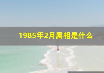 1985年2月属相是什么