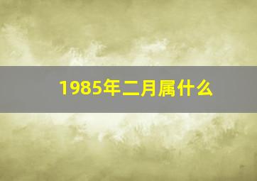 1985年二月属什么